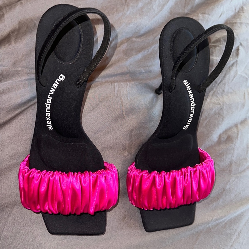 Authentic Alexander Wang sandals worn 1x